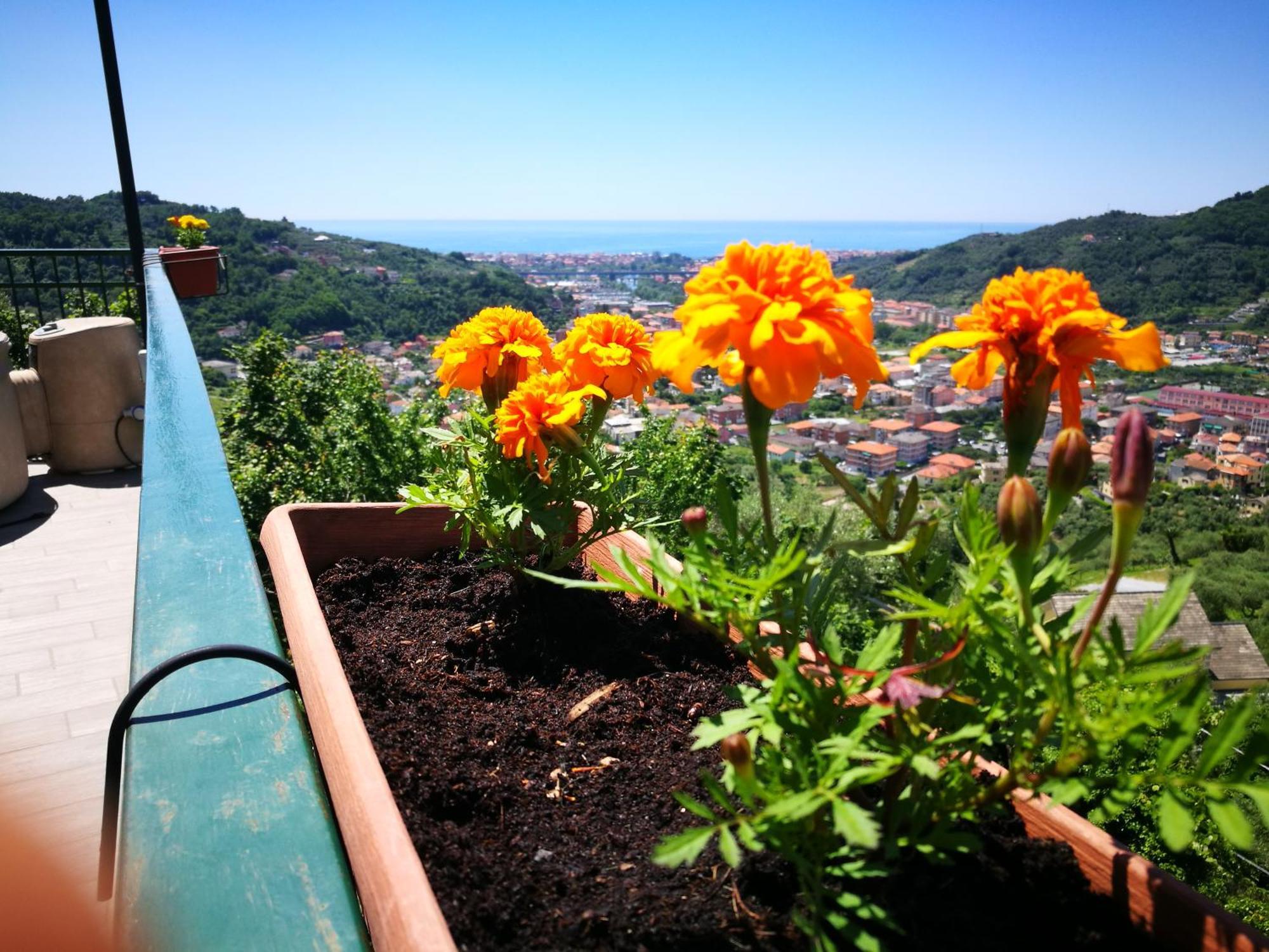 B&B La Terrazza Sui Fieschi Cogorno Extérieur photo
